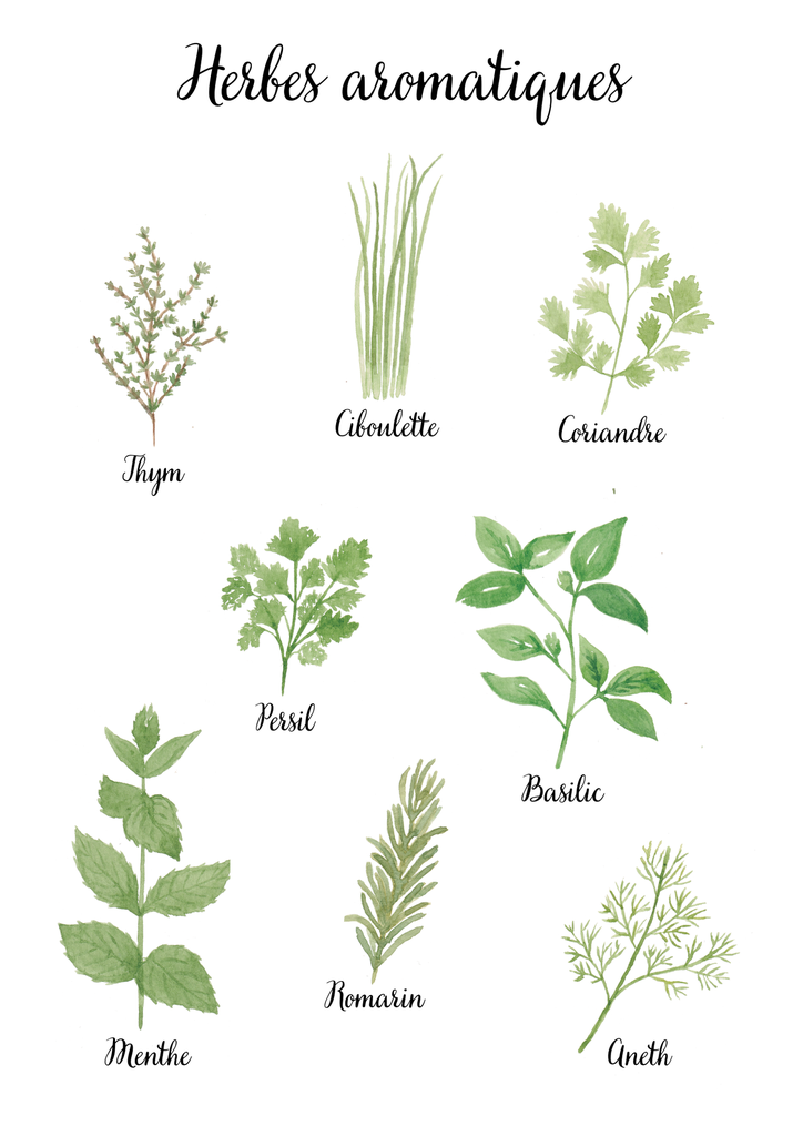 Affiche A4 "Herbes aromatiques" 14,90 €