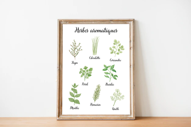 Affiche A4 "Herbes aromatiques"