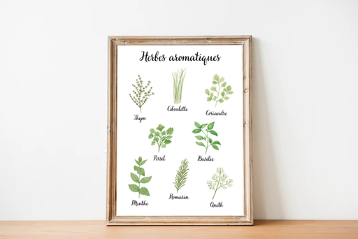 Affiche A4 "Herbes aromatiques"