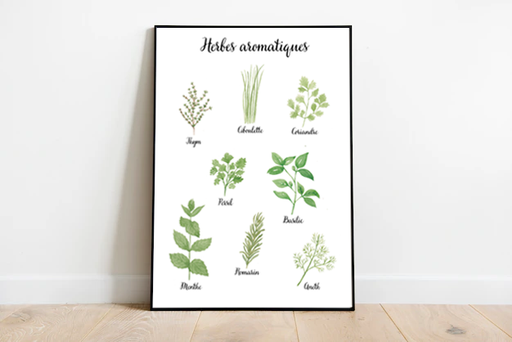 Affiche A3 "Herbes aromatiques" 